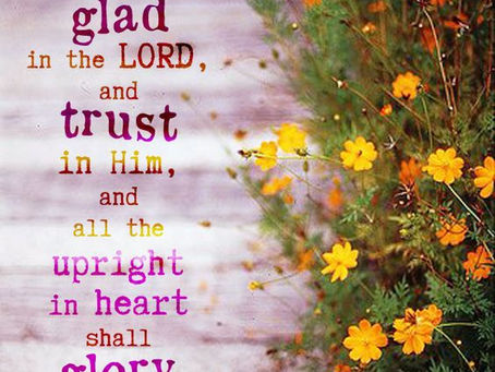 Encouragement from Psalms 11-28-17
Psalm 64-65New King James Version (NKJV)