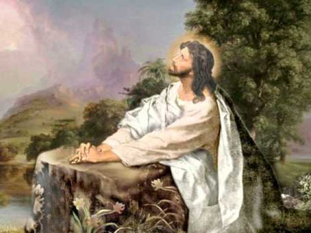 Dr Diana Brevan’s Ponderings 06/22/2024