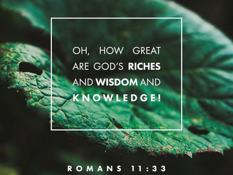New Testament Bible Reading With DrDiana Brevan 06-27-2024