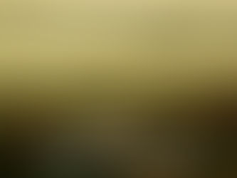 Encouragement from Psalms 9-16-17 9-16-17