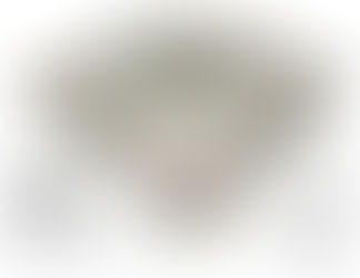 Daily OT Reading 11-22-17
Ezekiel 43-45