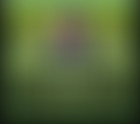 What Are Your Prayer Needs Today?
Do You Have a Celebrate Of Praise So that we can celebrate with You what the Lord has done. Come On now share so we can celebrate Amen Answered Prayer? Dr.Diana Breva