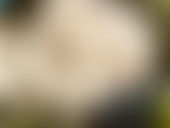 Newsletter – 21/06/24