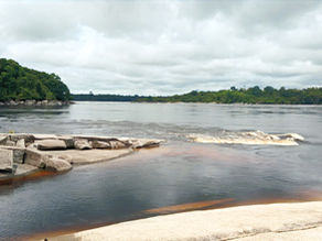 Newsletter - 24/04/24