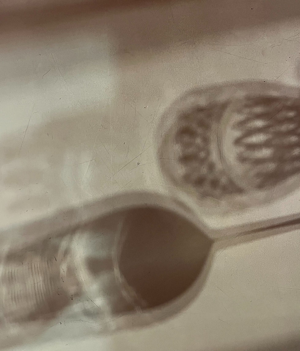 Newsletter - 12/12/25