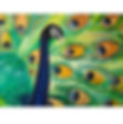 Paint a peacock - Online event
