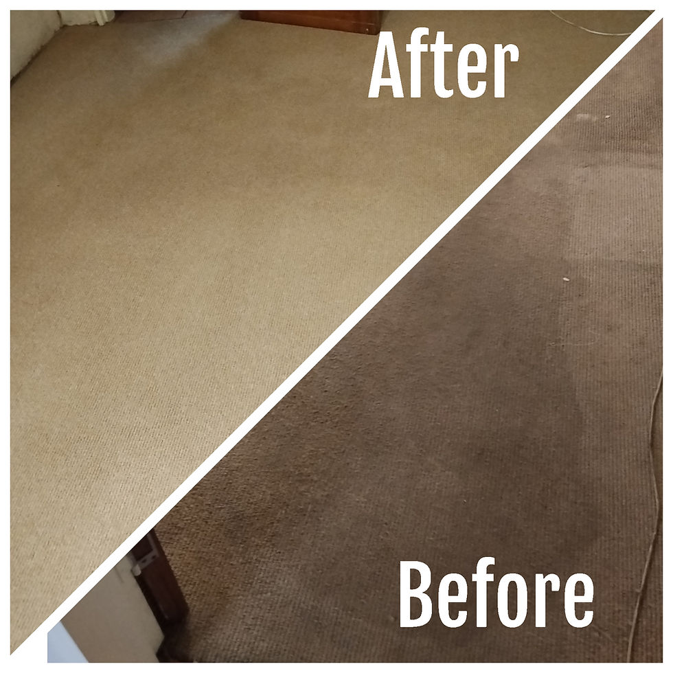 Carpet before and after cleaning by Shanela Cleaning Services