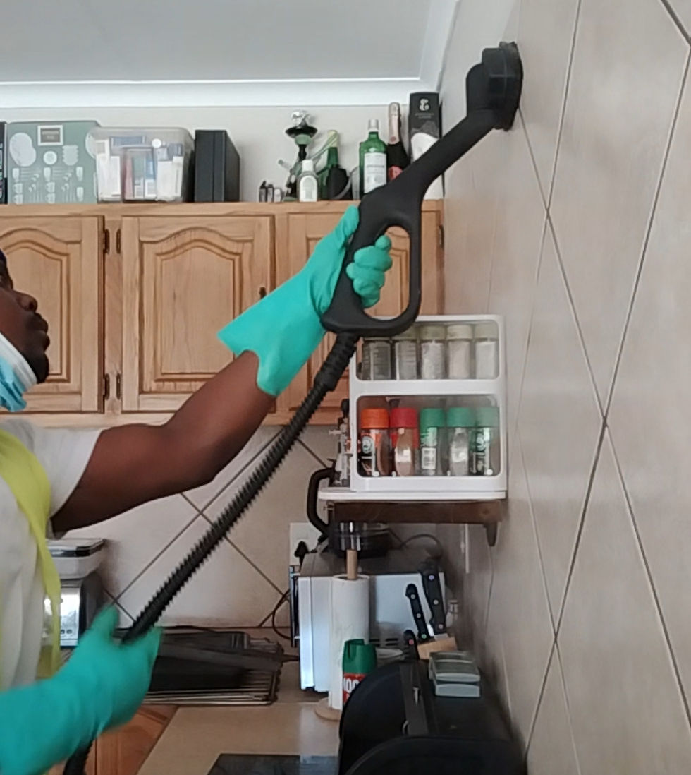 Shanela cleaning services professional deep cleaning kitchen wall