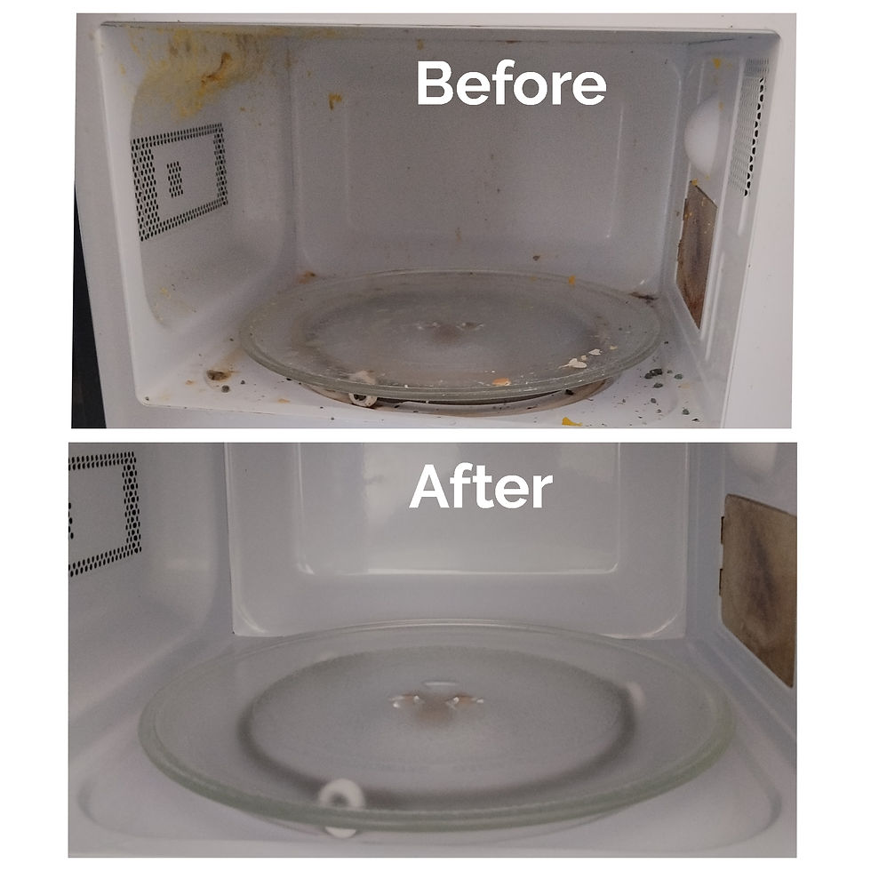 Shanela cleaning services: before and after microwave clean