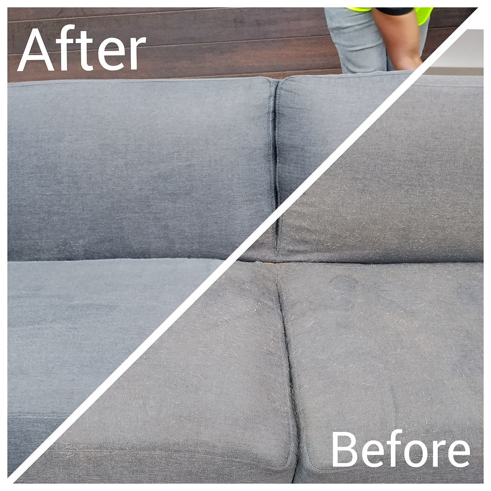 Before and after sofa cleaning by Shanela Cleaning Services.