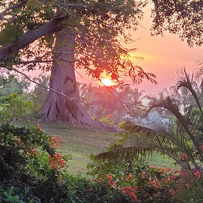 Sunset at Nayarit 2022.jpg