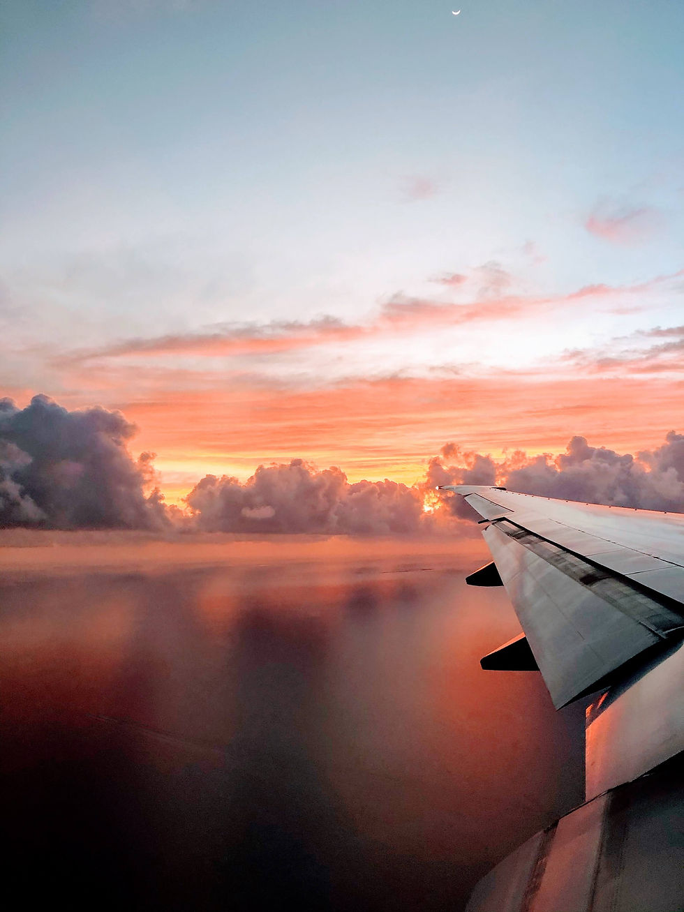 Must‑Have Travel Gear