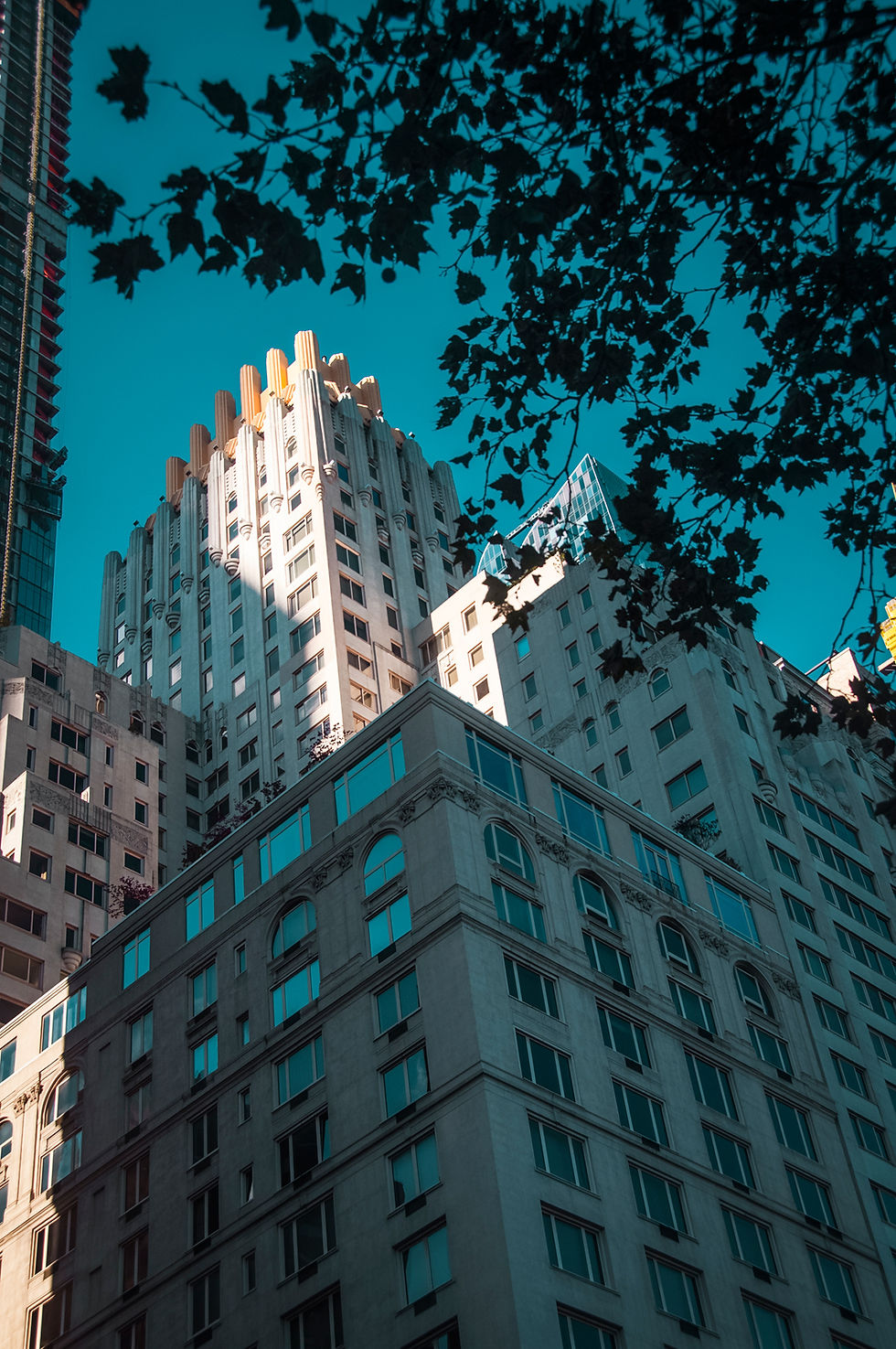 NY Central Parc