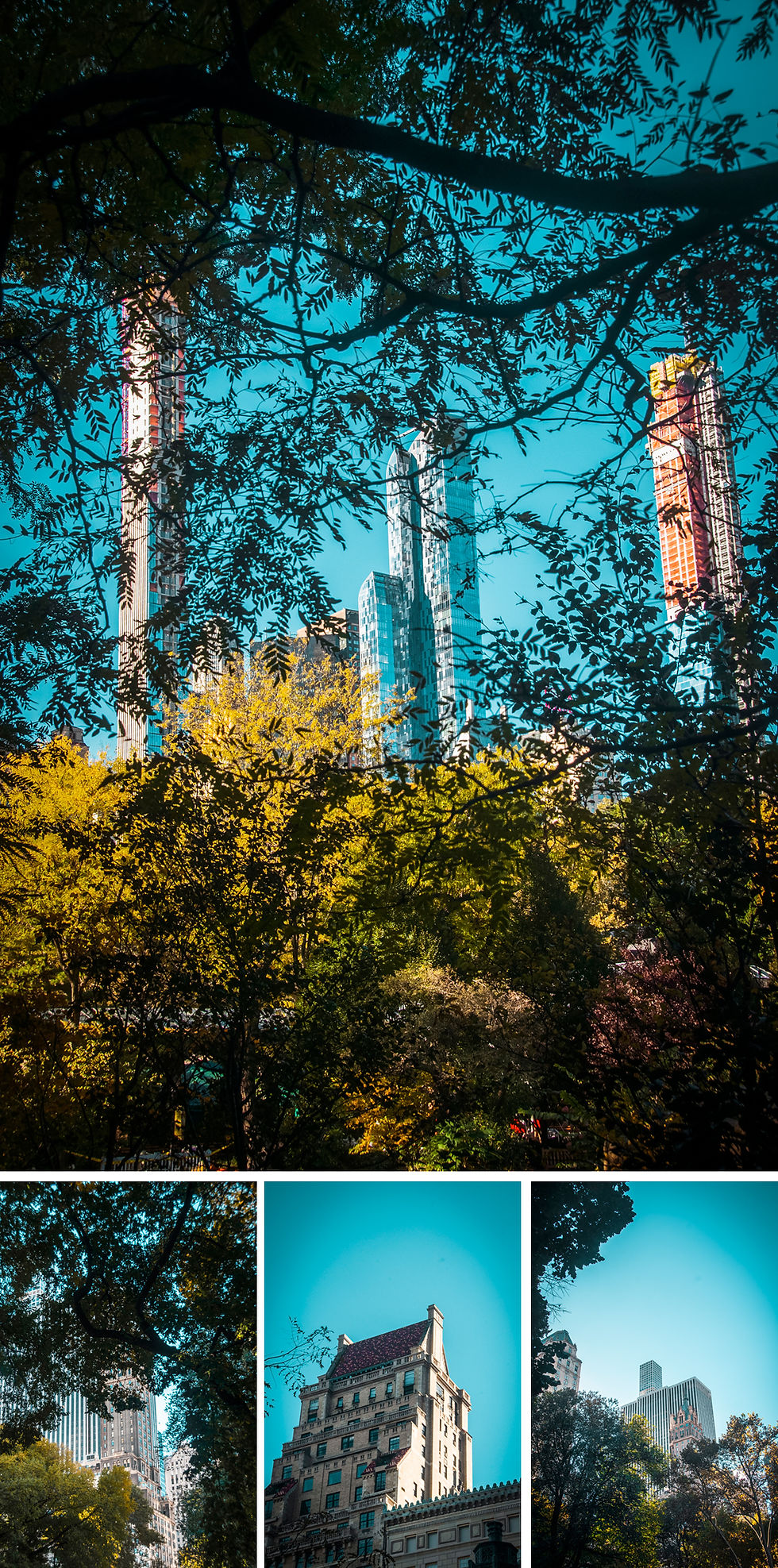 NY Central Parc