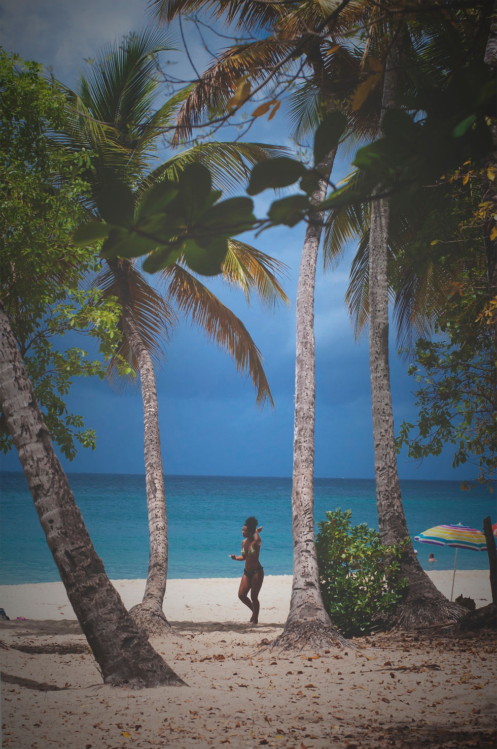 Les salines, la plage carte postale de la Martinique
