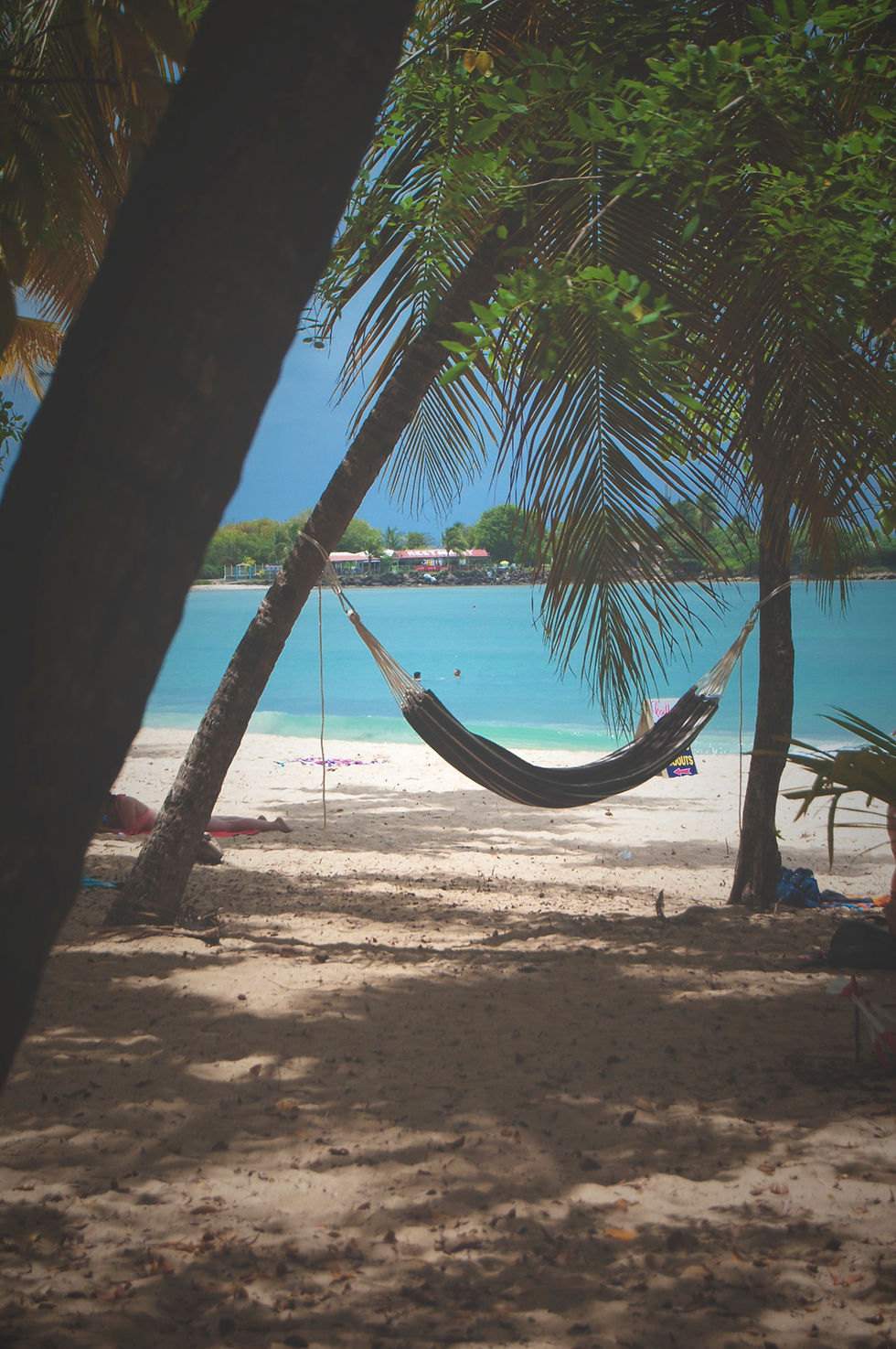 Les salines, la plage carte postale de la Martinique