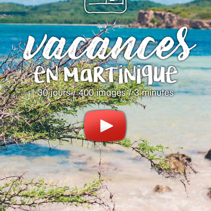 Petits Bonheurs #5