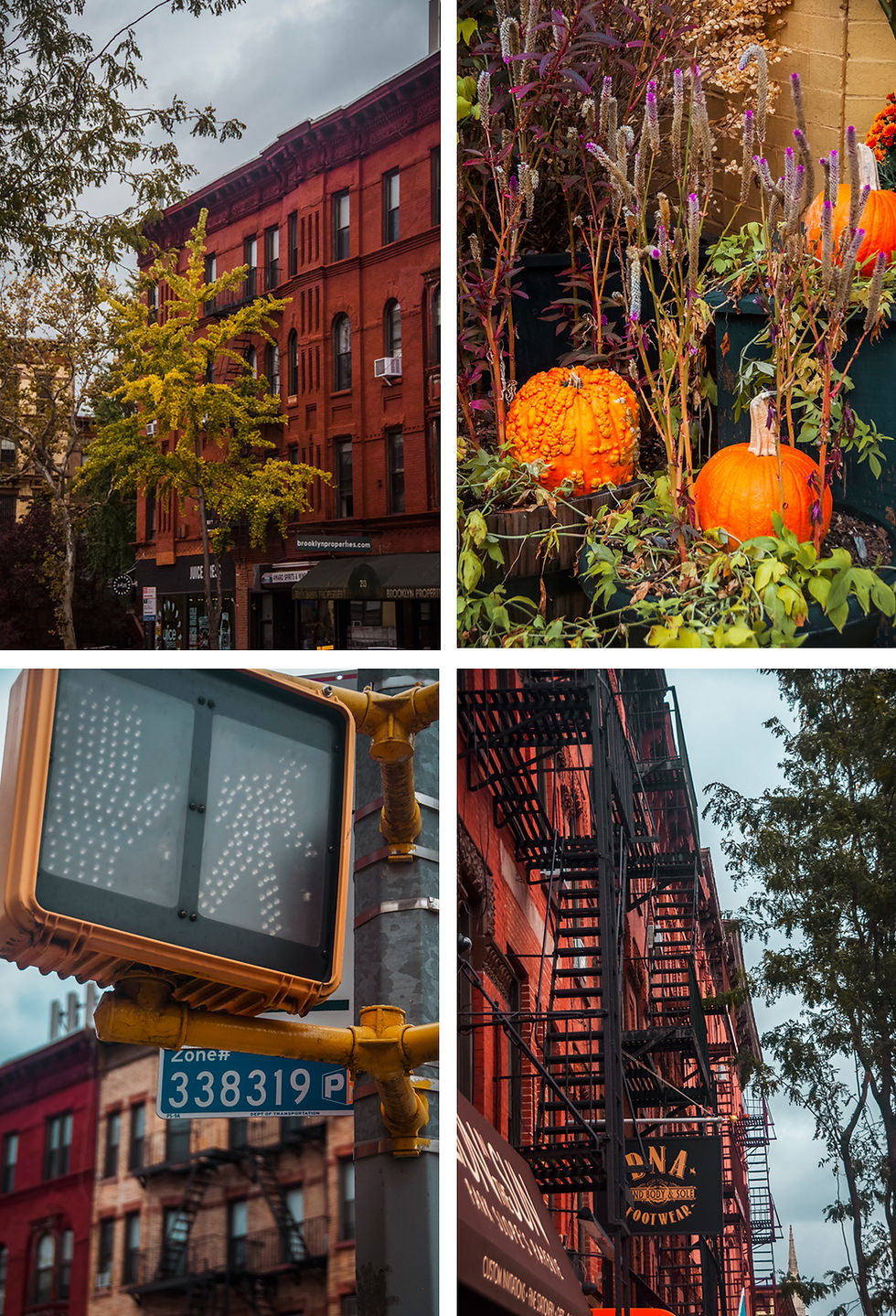 Halloween in NY