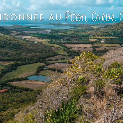 Balade au sommet du Piton Crève Coeur