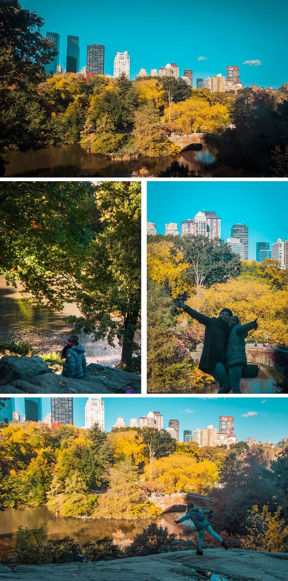 NY Central Parc