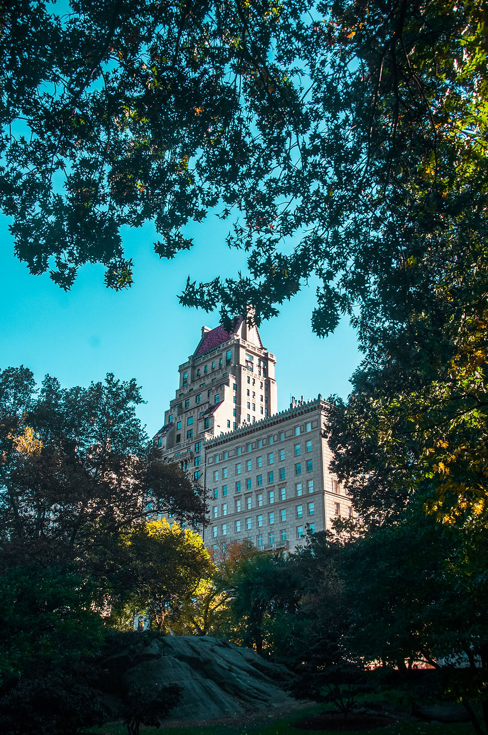 NY Central Parc