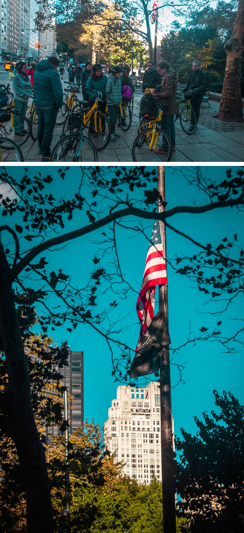 NY Central Parc