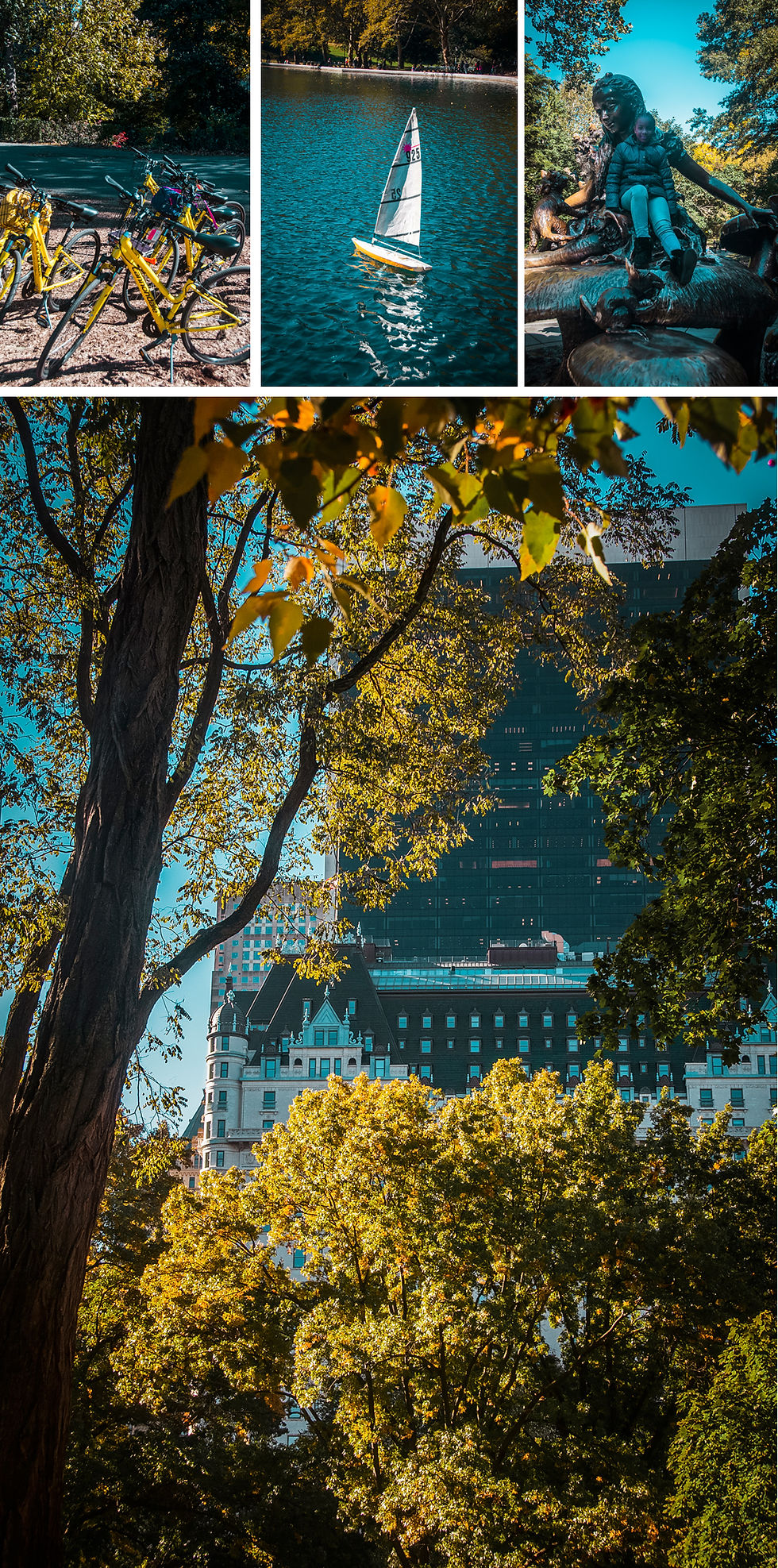 NY Central Parc