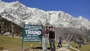 Things to Do in Dharamshala: A Perfect Himalayan Adventure