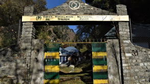 Things to Do in Kullu: Your Ultimate Guide to the Valley of Gods