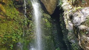 Top Places to Visit in Jibhi: Your Ultimate Guide to This Hidden Himalayan Gem