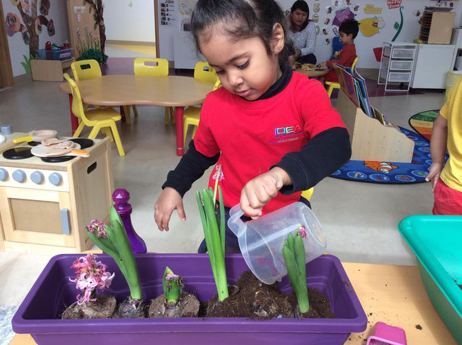 Meet IDEA Early Learning Center