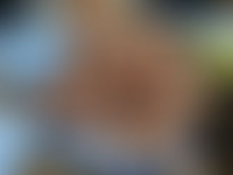 2026.1/10～11田子カニツアー