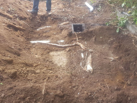 Expert Excavation Contractor Services in Walnut Grove BC by AMA Excavation  