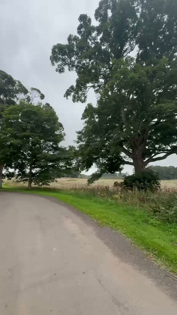 WhatsApp Video 2026-08-28 at 12.43.13.mp4