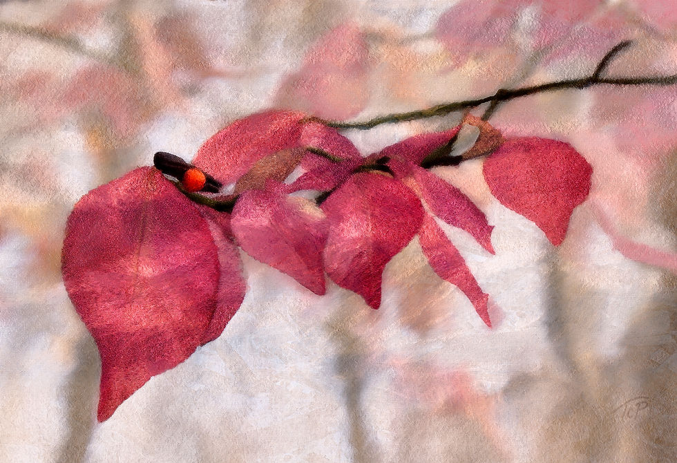 AUTUMN'S SMILE