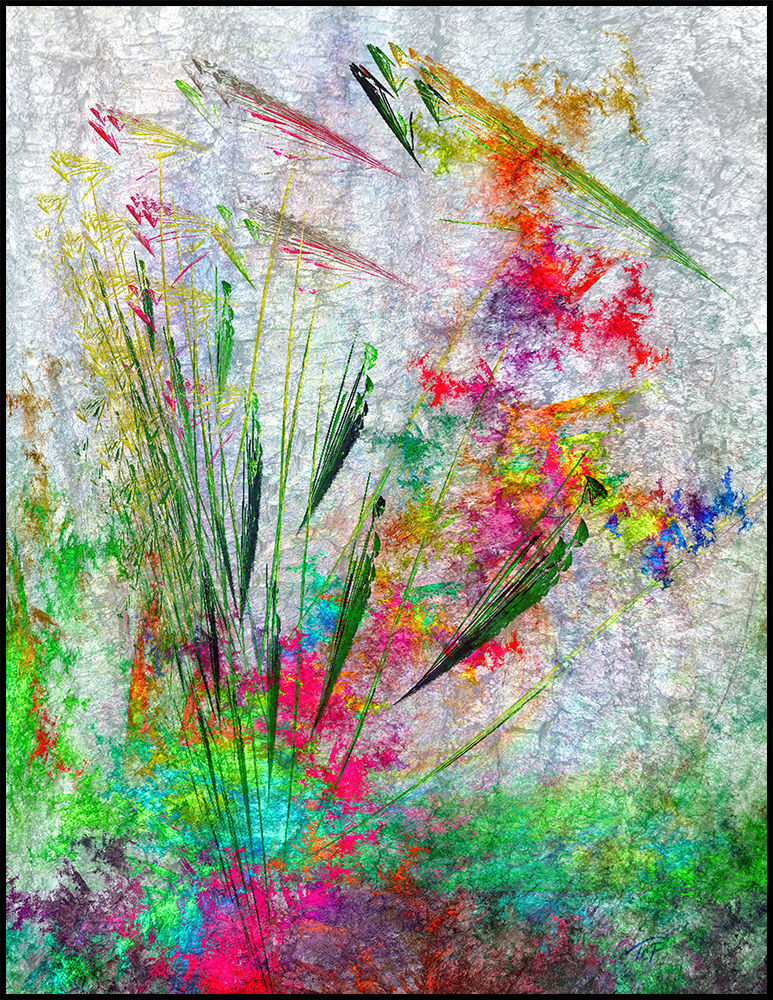 Blooms