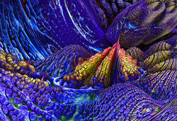 EMERGENCE