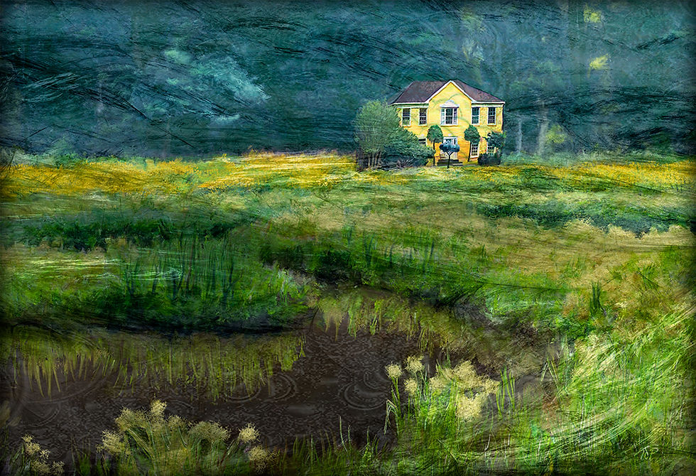 THE STORM