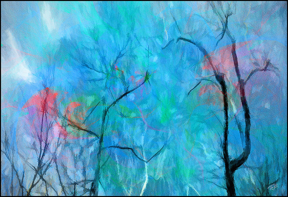 Soft Spashes