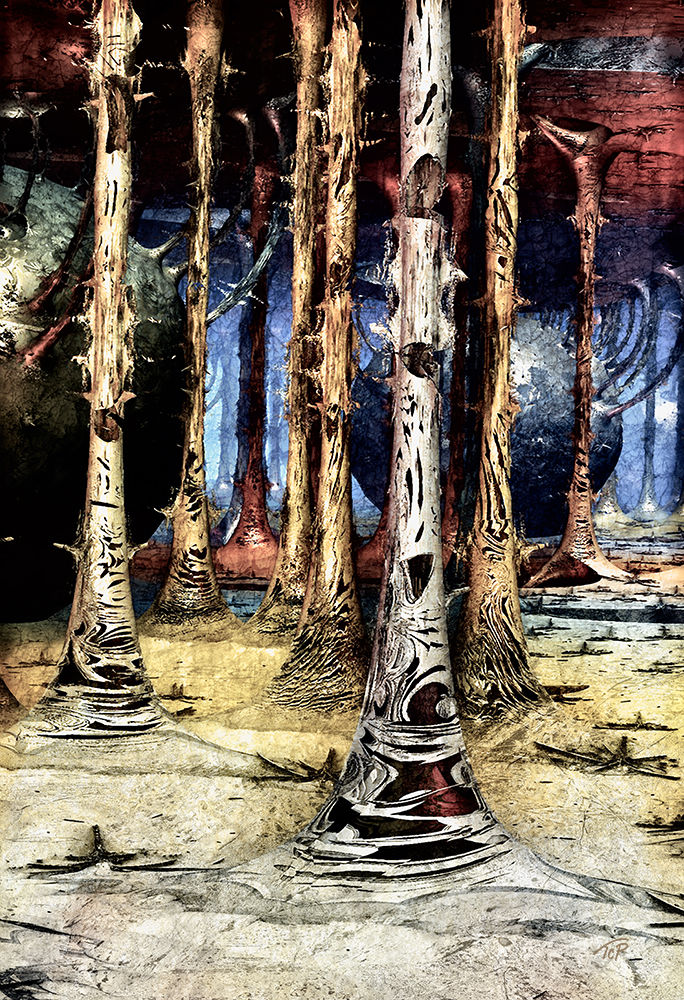 LOST IN THE FOREST
