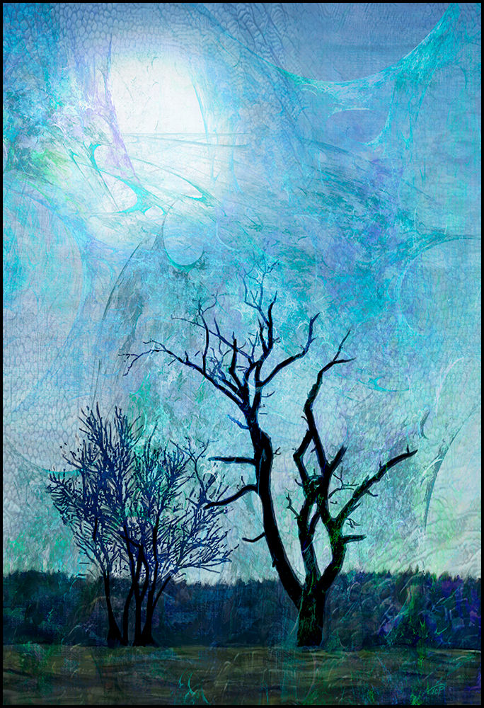 SILHOUETTE