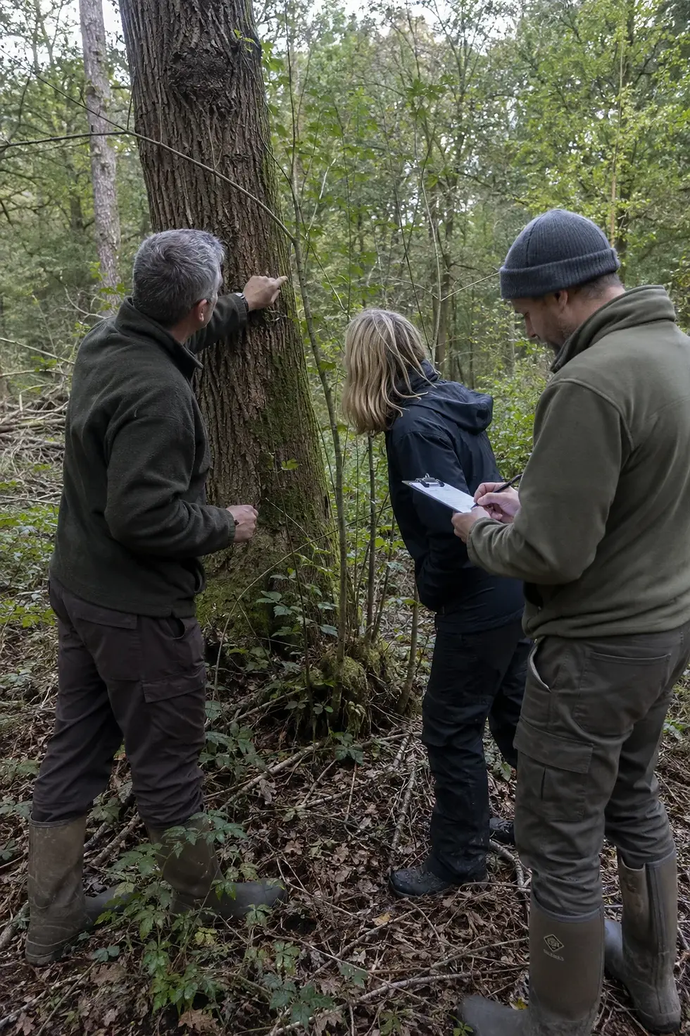 slim-woodlands-course-woodland-learning.webp