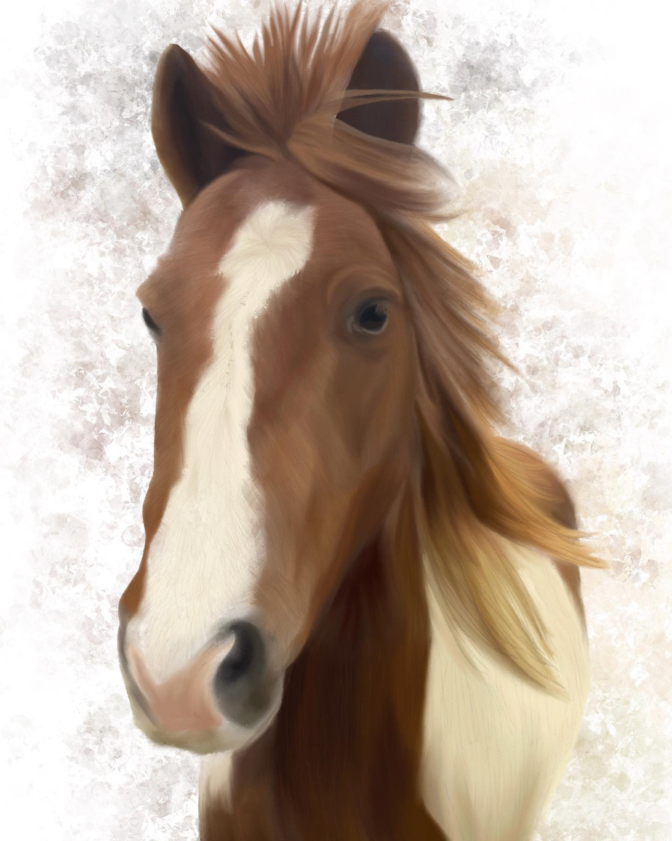 Horse Illustration.jpeg