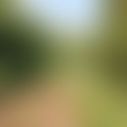 Countryside stewardship landscape featuring open pasture, a farm gate, and woodland edging under grey skies.