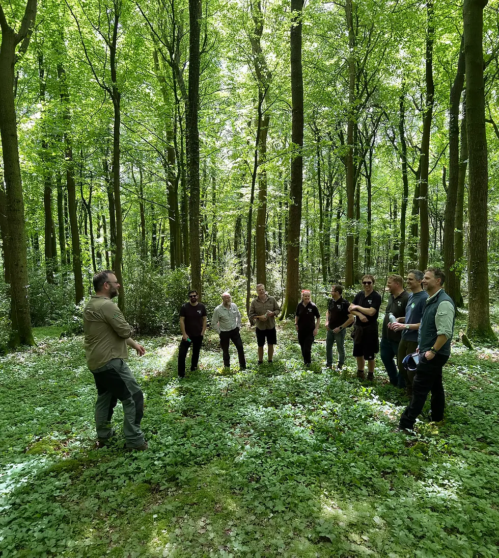 NRW training_whitestone_Jun 2026.webp