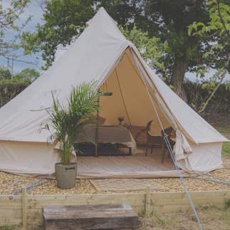 Bowhayes Farm - Glamping - Bell Tent