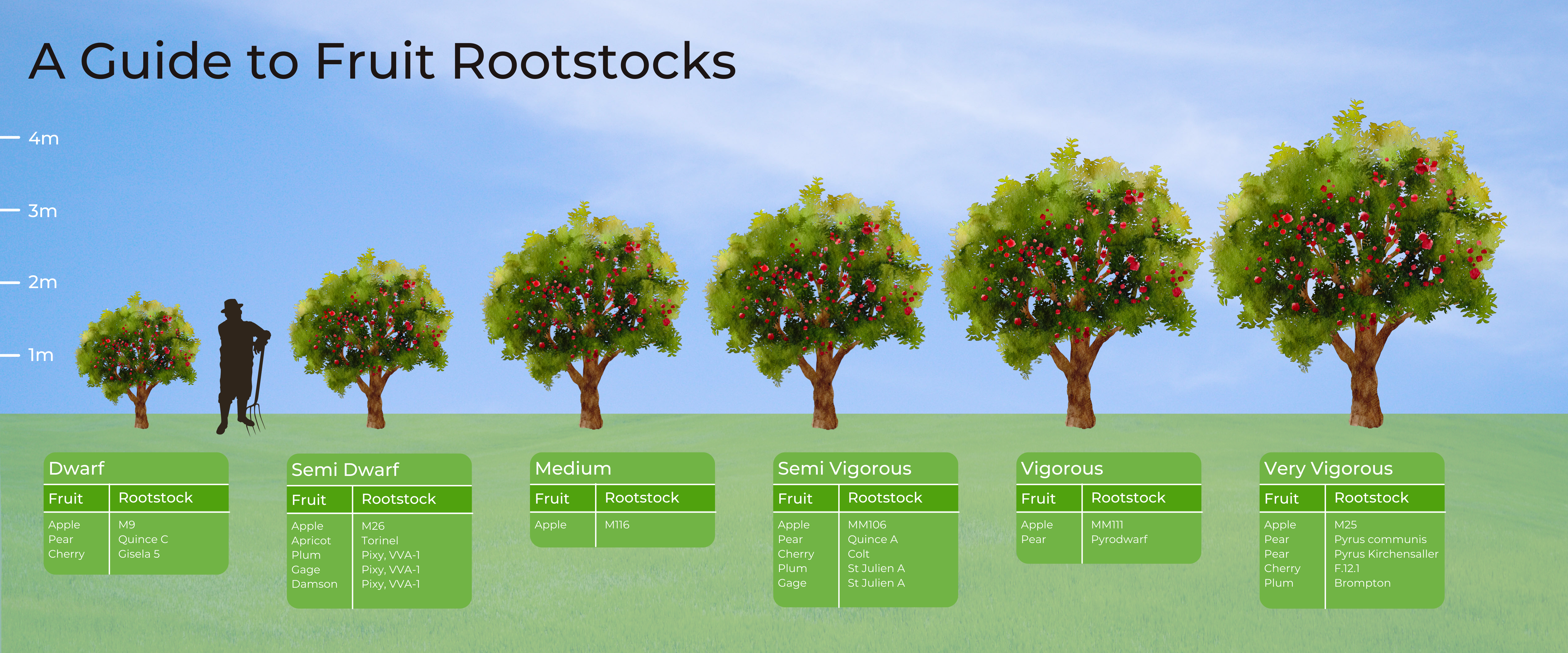 Rootstock Guide
