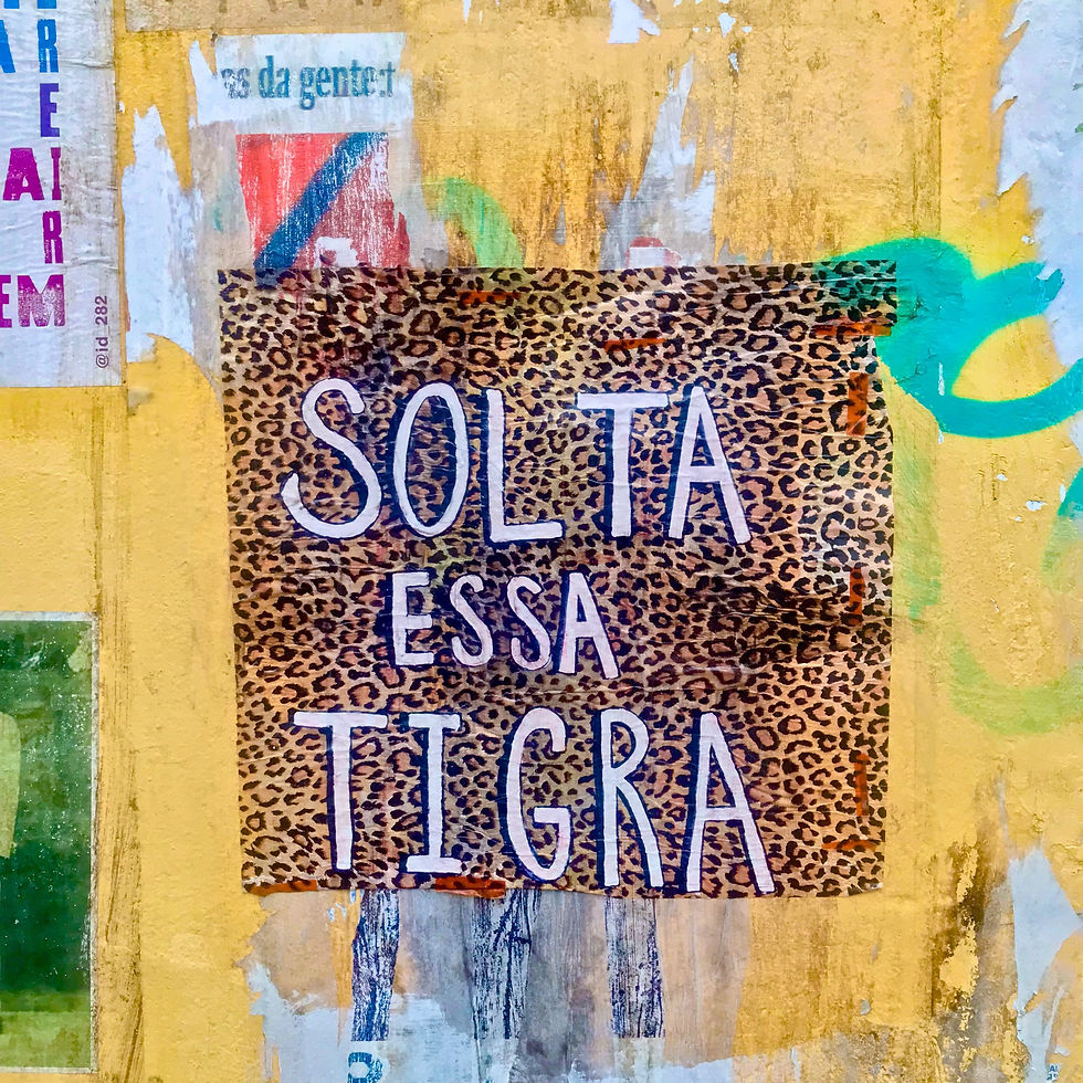 Solta Essa Tigra