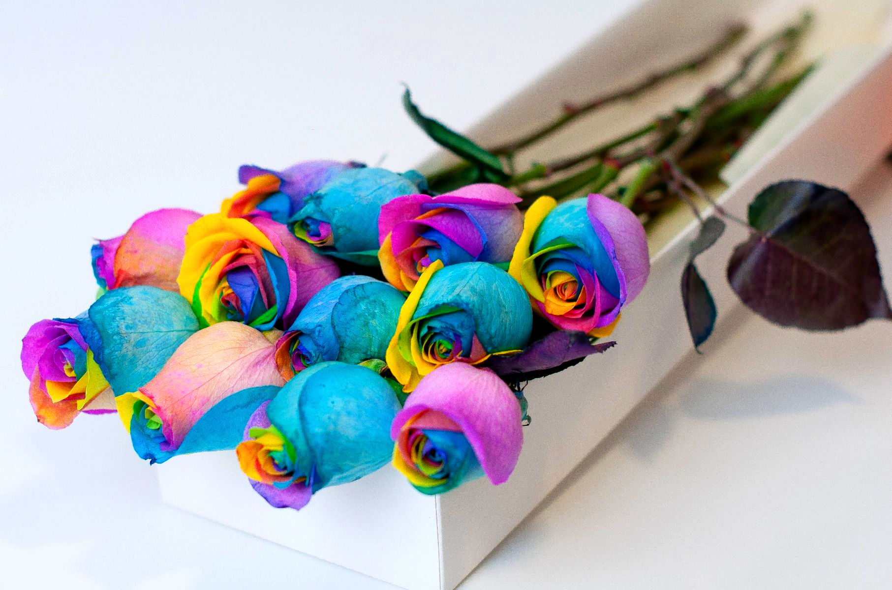Caja de 12 Rosas Arcoíris