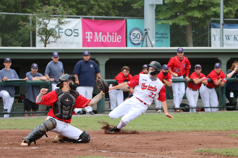 SAM_IMG_0166. JPG.JPG